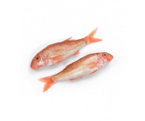 Sultan Ibrahim Fisk Red Mullet 1kg